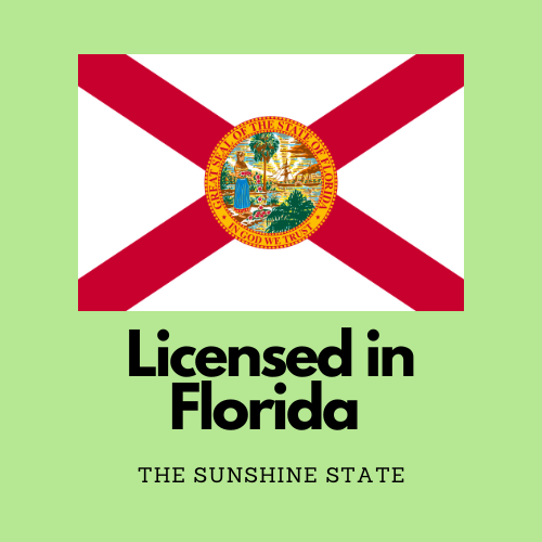 Infographic Flag of The State of Florida with The Sunshine State tagline